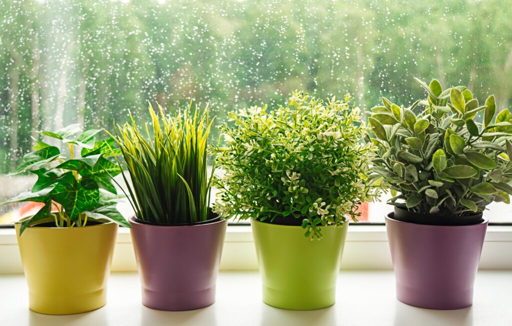 Dealing with Humidity in Your Home