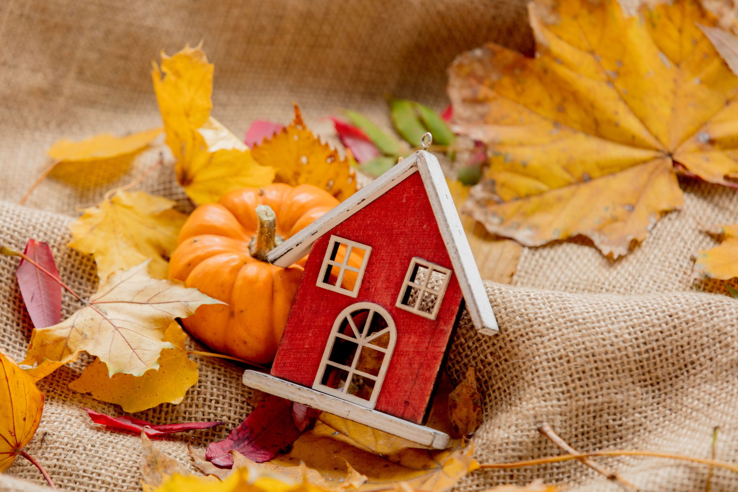In Houma, LA, fall can still feel like summer. With warm temperatures lingering into September, it’s easy to forget that colder days are just around the corner. But don’t let the current weather fool you, now is the ideal time to start thinking about your heating system. If your furnace or heat pump is outdated, unreliable, or inefficient, it might be time to upgrade your HVAC system before winter sets in. Reasons to Upgrade Your HVAC System Before Winter Upgrading early means you can avoid last minute surprises and make a smart investment in your home’s comfort and efficiency. Whether you're preparing for chilly nights or simply want to avoid the seasonal stress, here are five compelling reasons to act now, before the cold weather arrives. 1. Beat the Rush and Avoid Delays Once the temperatures drop, Houma HVAC companies get busy, fast. Emergency repair calls spike, and installation schedules fill up quickly. By choosing to upgrade your HVAC system before winter, you’ll beat the seasonal rush and ensure your home is ready for the first cold snap. Plus, you’ll have more flexibility when scheduling your installation. 2. Improve Energy Efficiency Older heating systems often work harder to maintain comfort, especially during colder months. Upgrading to a newer, energy efficient furnace or heat pump can significantly lower your monthly utility bills. Modern systems are designed to deliver consistent comfort while using less energy, great news for both your wallet and the environment. According to Energy.gov, “Depending on your region, replacing heating and cooling equipment with higher efficiency equipment can reduce energy use by 50% for electric heating and cooling systems and 10% for gas furnace heating systems (U.S. Department of Energy’s eeCompass guide).” 3. Avoid Unexpected Breakdowns No one wants to deal with a failing heater during the middle of winter. If your current HVAC system is making strange noises, short cycling, or struggling to keep your home warm, those are signs it might be time for a replacement. Upgrading your HVAC system before winter allows you to avoid unexpected breakdowns and the discomfort (and cost) that comes with emergency repairs. 4. Take Advantage of Seasonal Deals Many manufacturers and HVAC companies offer promotions during the fall to encourage early upgrades. Whether it’s a rebate on a new energy efficient furnace or a discount on installation, fall is a smart time to save money. Don’t miss out, these deals often expire once demand rises during winter. 5. Get Peace of Mind All Season Long There’s nothing more comforting than knowing your heating system is reliable and ready to go. When you upgrade your HVAC system before winter, you’re not just investing in warmth, you’re investing in peace of mind. Modern furnaces and heat pumps are built with improved safety features, smart thermostats, and longer lifespans, giving you confidence that your home will stay comfortable through the season. Thinking About a Furnace or Heat Pump? Whether you rely on a traditional gas furnace or a heat pump to heat your home, both options offer great advancements in technology and efficiency today. If you’re unsure which system is right for your home, a professional Houma HVAC contractor can help you weigh your options based on your home’s layout, insulation, and budget. Don’t Wait Until It’s Cold, Act Now If you’re considering a new heating system, don’t wait until winter is knocking at your door. Upgrading your HVAC system before winter is the best way to ensure your home stays warm, your energy bills stay low, and your stress stays at bay. Reasons to Upgrade Your HVAC System Before Winter